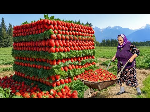 Grandma Makes Lots of Fresh Strawberry Jam and Cake for Winter! Village Life