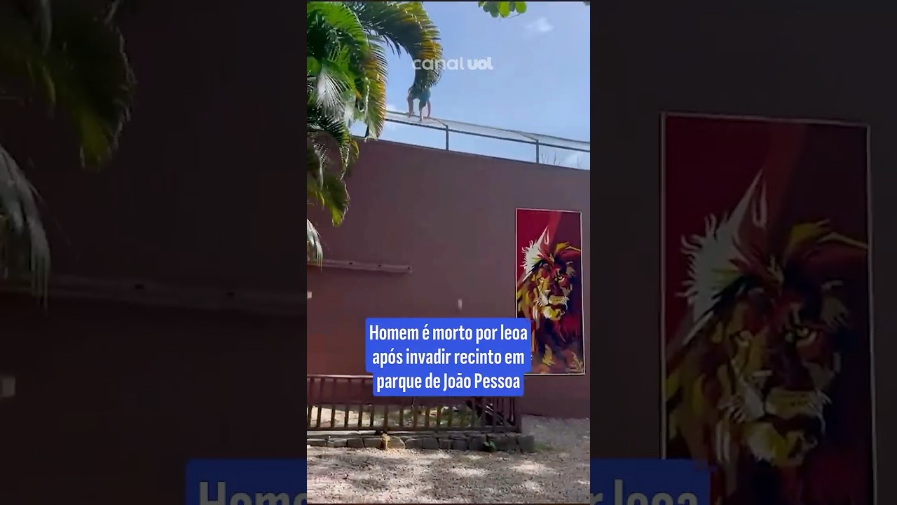 Homem invade espaço de leões e é morto em parque da Paraíba; vídeo
