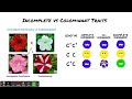 Genetics Concepts and Inheritance Patterns