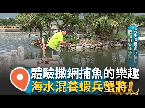 體驗撒網捕魚樂! 海水混養蝦兵蟹將 接手家業慘賠百萬 從哪跌倒 就從哪爬起來! 努力還光欠款 並將傳統魚塭轉型觀光休閒 再戰漁業!│【智富食代】20240915│三立iNEWS