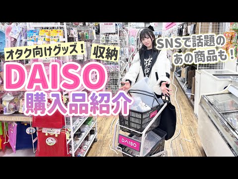 【DAISO購入品紹介】グッズ収納やSNSで話題のあの商品をたくさんが買ってきました🪽