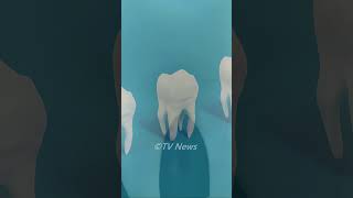 Scientists at King’s College London have grown human teeth in a lab, offering a new alternative...
