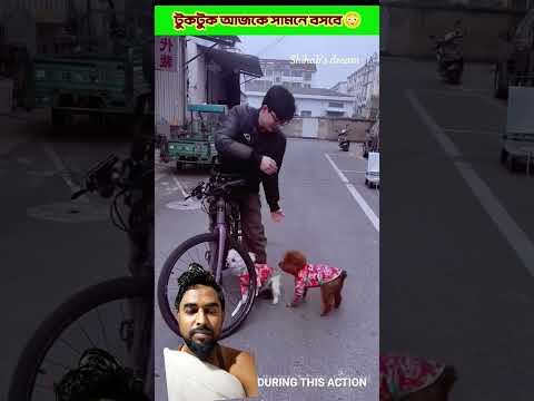 টুক্টুক আজকে সামনে বসবে 😱Survival Skills: SIMPLE andUSEFUL #bushcraft #1camping #outdoors