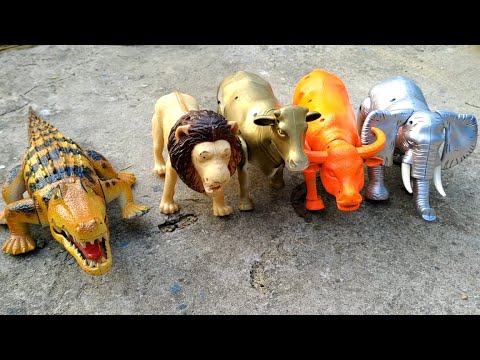 วัวควาย ไปเล่น รถแม็คโครตักดินที่ กองทราย Cow, Buffalo, Truck, Excavator | AZA555