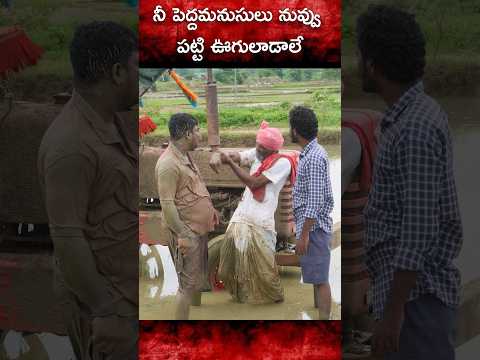 నాయి పట్టి ఊగులాడుర్రి #comedy #trending #trolling #viral #funny #fun #shortvideos #shorts #asmr