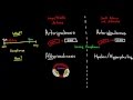 Arterial Health and Disease Concepts