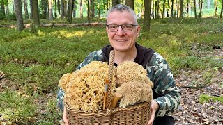 🌲🌲🌲🍄🍄🍄🌲🌲🌲26.8.2026. Kotrč kadeřavý - Sparassis crispa - sever Čech. 
