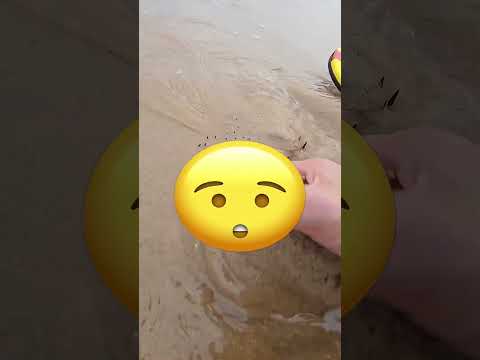 IL A TROUVÉ QUELQUE CHOSE DE MYSTÉRIEUX SUR LA PLAGE