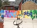 Peace Studies Program Insights