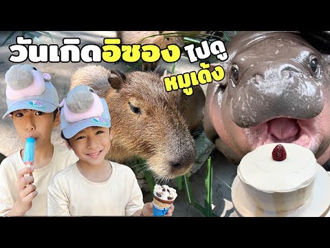 🇰🇷🇹🇭 인성이 6세 생일 브이로그 | 무뎅이 보러 갔다 카피바라에게 반한 아이들 | 집에서 생일 케이크 만들기