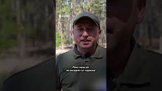 Відновлюють знищені обстрілами ліси #shortsvideo