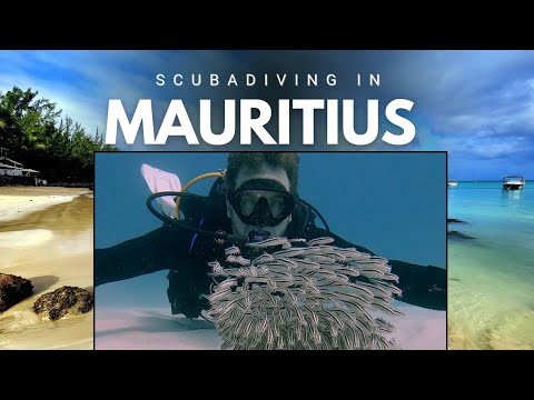 Luxury Scuba Diving Paradise: Your Next Dream Holiday