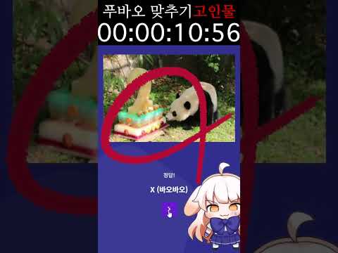 푸바오 맞추기 스피드런 고인물 라디유