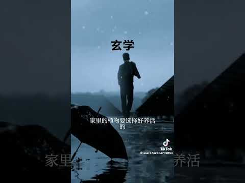 民间都无法解释的玄学