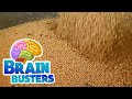 Soybean Farming Practices and Knowledge