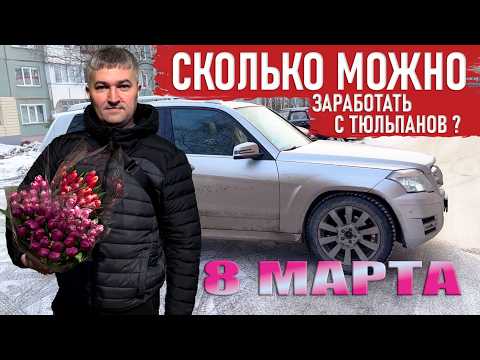 Сколько можно заработать на тюльпанах 8 марта? Личный опыт