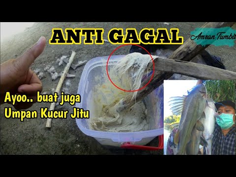 "KUCUR ANTI GAGAL"  Terbaru, resep dan cara membuat umpan kucur - UMPAN JITU IKAN BAUNG
