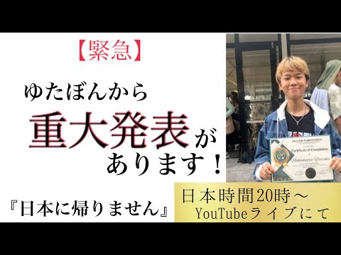 日本に帰りません！