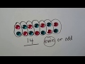 Identifying Odd and Even Numbers in Grade 2 Math
