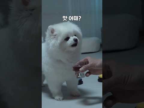 기분 좋은데 한잔해 🤣