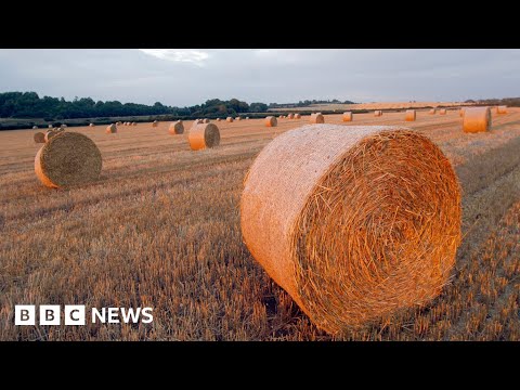 The technology trying to make farming more sustainable – BBC News