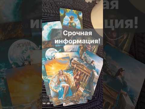 ❗️О чем хотят Предупредить... 🌓✨ с Ниной #таро #tarot #таролог