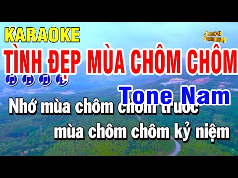 Karaoke Tình Đẹp Mùa Chôm Chôm Nhạc Sống Tone Nam ( Bolero )Huỳnh Anh