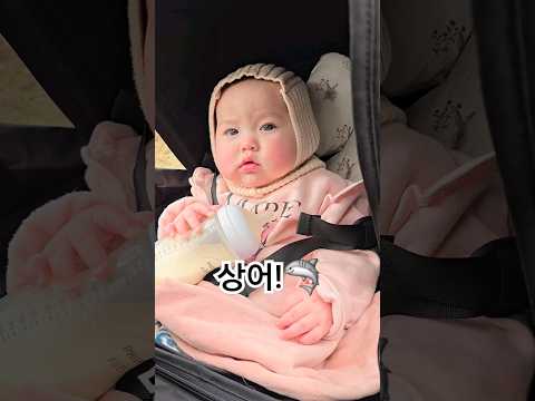 아기 상어를 처음 들은 아기 반응 🦈💕 When a baby hears Baby Shark for the 1st time #클로이 #아기 #cutebaby