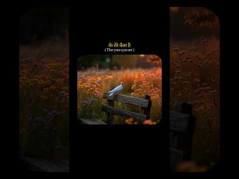 Forever Feels Too Short With You These Lines ✨ | Mere Pyase Naina Tarse 😹💕 | #love #shorts