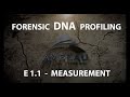 DNA Analysis and Forensic Applications