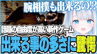 紅の砂漠でオープンワールド初体験！美麗なグラフィックと出来る事の多さに驚愕する天使うと【紅の砂漠】
