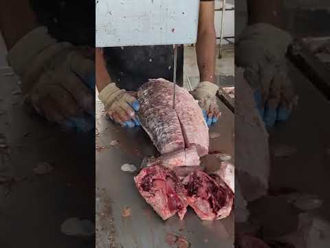 Big Great  Rohu Fish Cutting Video In Fish Market l Fish Cutting Skills#shorts