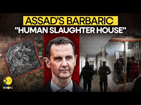 Syria Prison LIVE: Rebels Break Into Assad's 'Human Slaughter House' | Syria News |WION