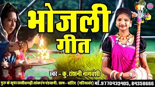 Bhojali Geet || Roshni Nagvanshi || CG Song || Pandawani 2025