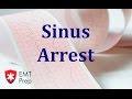Understanding Sinus Arrest