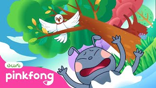ఒక చీమ మరియు ఒక పక్షి  | ఏసెప్‌ కథలు  | Telugu Rhymes | Pinkfong Baby Shark