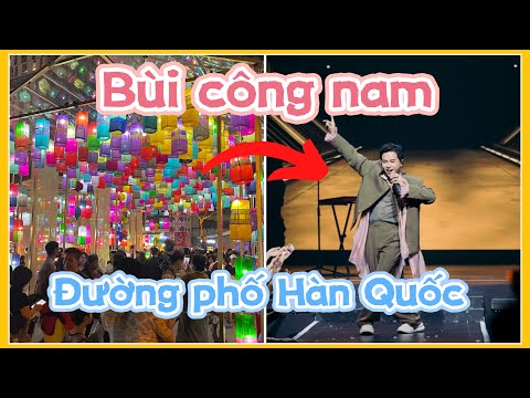 Ong Sâu Dế TV | Lần đầu đi con đường hàn Quốc & Bùi Công Nam