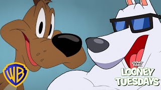 DOG-gone Looney Tunes! | Looney Tuesdays | @wbkids