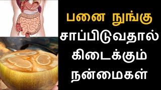 பனை நுங்கு சாப்பிடுவதால் கிடைக்கும் நன்மைகள்   Nungu  Best summer Fruit Tamil