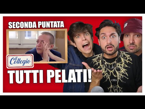 IL COLLEGIO 5: TUTTI PELATI (PUNTATA 2) | IPANTS