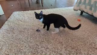 Sound off playtime with Jumper