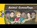Animal Camouflage Concepts