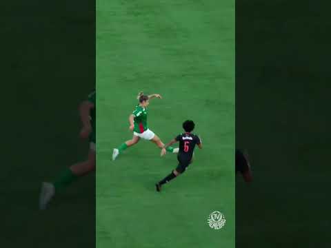 image para ilustrar o artigo