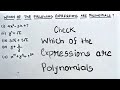 Understanding Polynomials and Their Types