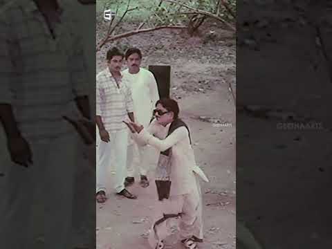 #NyayamKosam Movie Scenes | #Rajasekhar, #Sita, #KaikalaSatyanarayana | #shortvideo #shorts