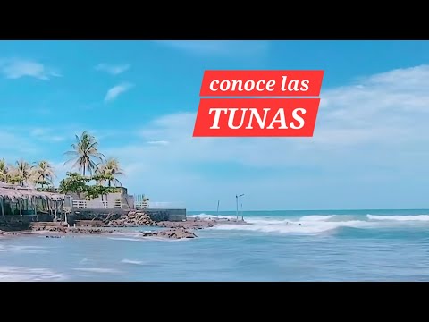 Por si no conoces las TUNAS