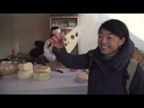 【アーカイブ配信】スロベニア共和国クラン市バーチャルツアー