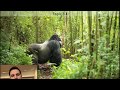 Biodiversity and Conservation Concepts