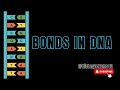 DNA Structure and Function Concepts