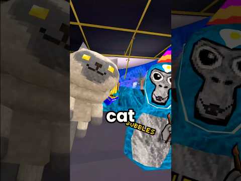 She Got So Many Pets! 🐱 #gorillatag #vr #shorts